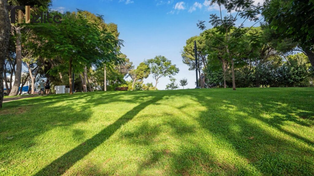 קרקע להשקעה בקדימה צורן