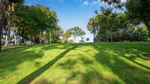 קרקע להשקעה בקדימה צורן